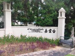 Cavendish Park (D21), Condominium #1047192